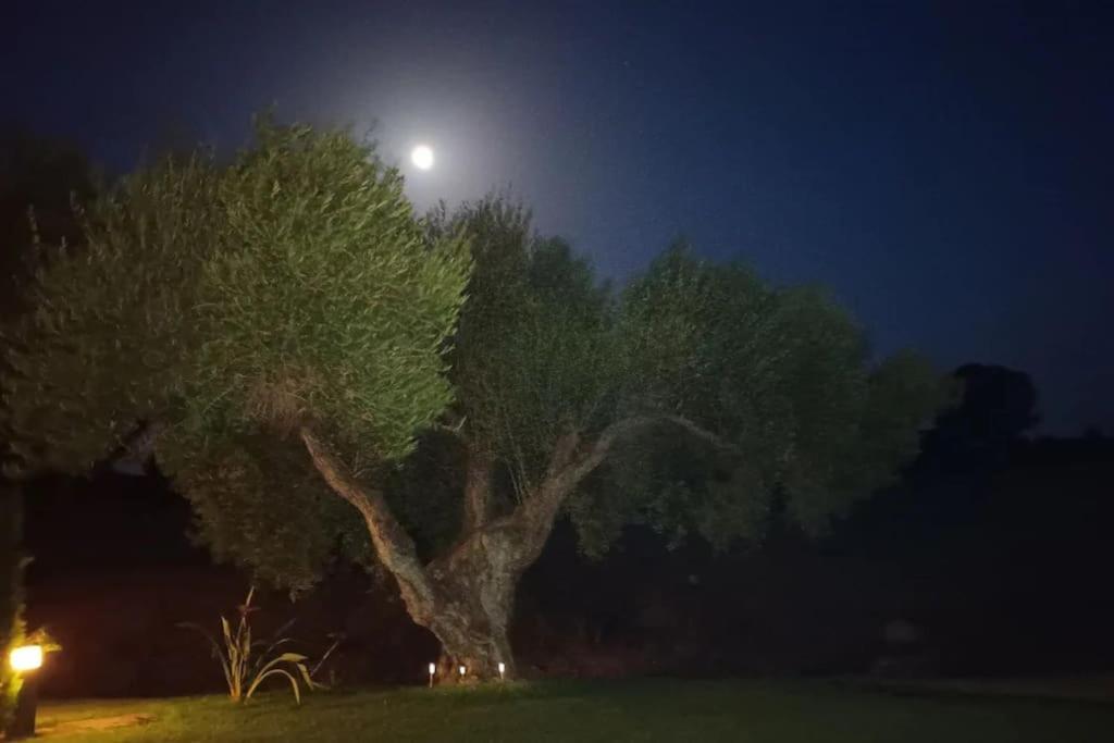 ארקוס דה לה פרונטרה Casa Los Olivos מראה חיצוני תמונה